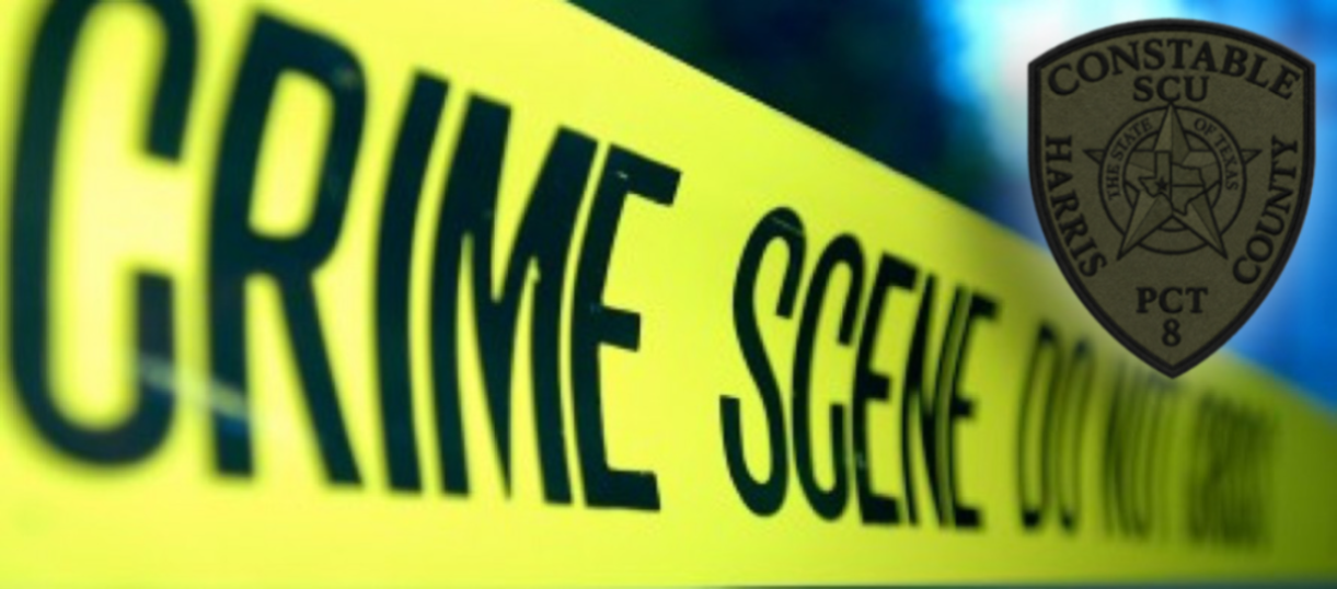 Investigations
